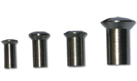 Window Screws (Interscrews)